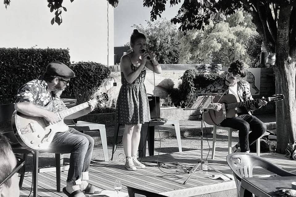 Tabatha trio