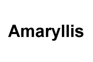 Amaryllis