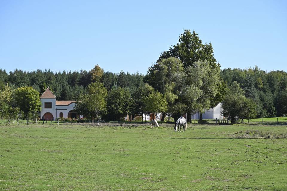 Extérieur