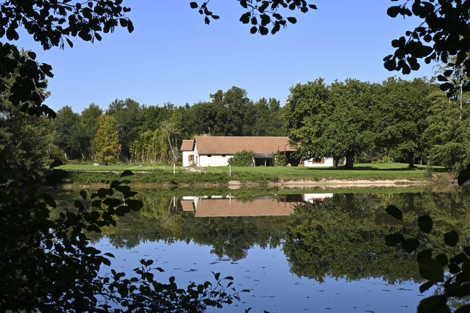 Vu de l'étang