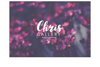 Chris Gallery