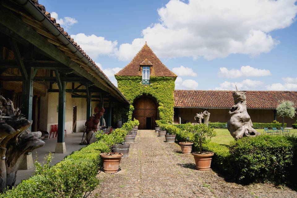 Cour