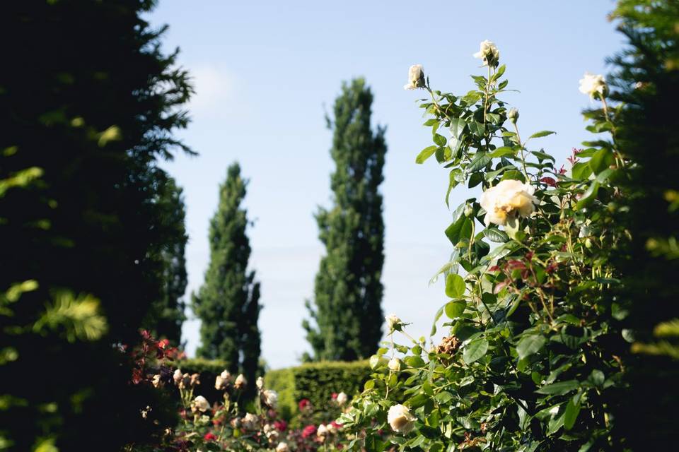 Jardins