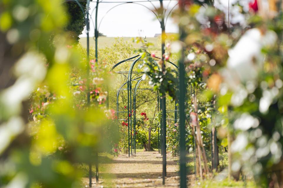 Jardins