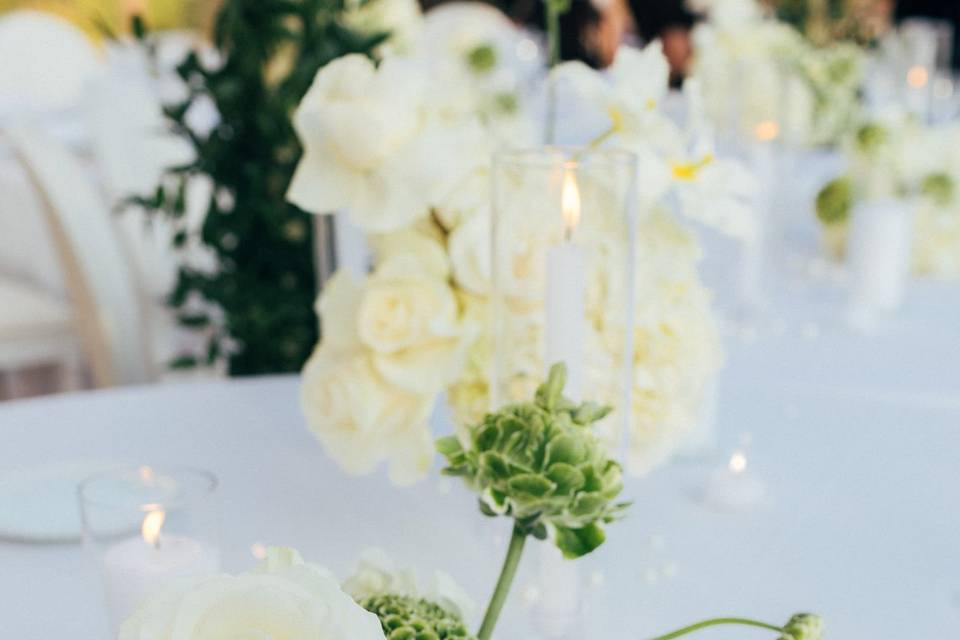 Luxury White