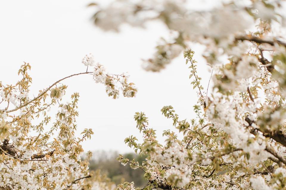 Emma & Edouard