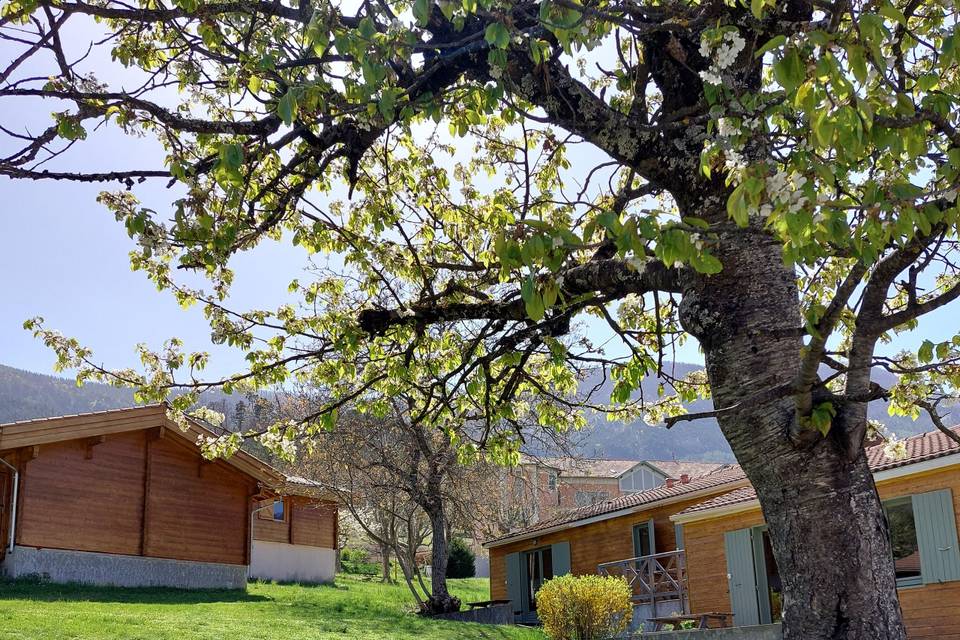 Le Pré au printemps