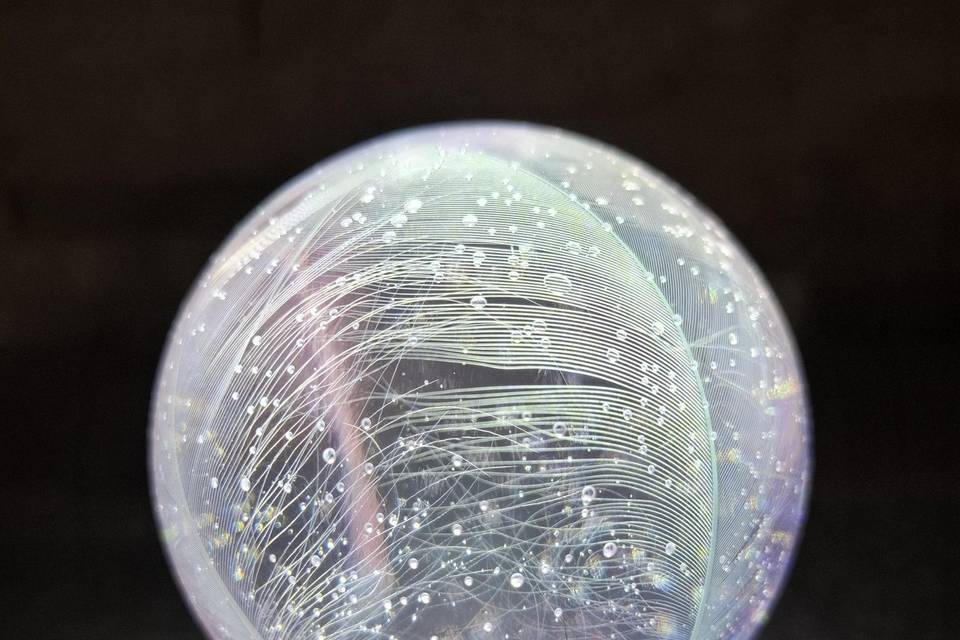 Boule plumes
