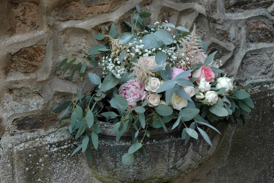 Eucalyptus et Garden rose