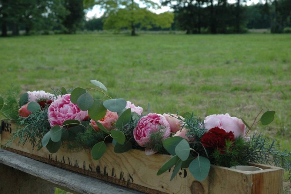 Campagne et romantisme