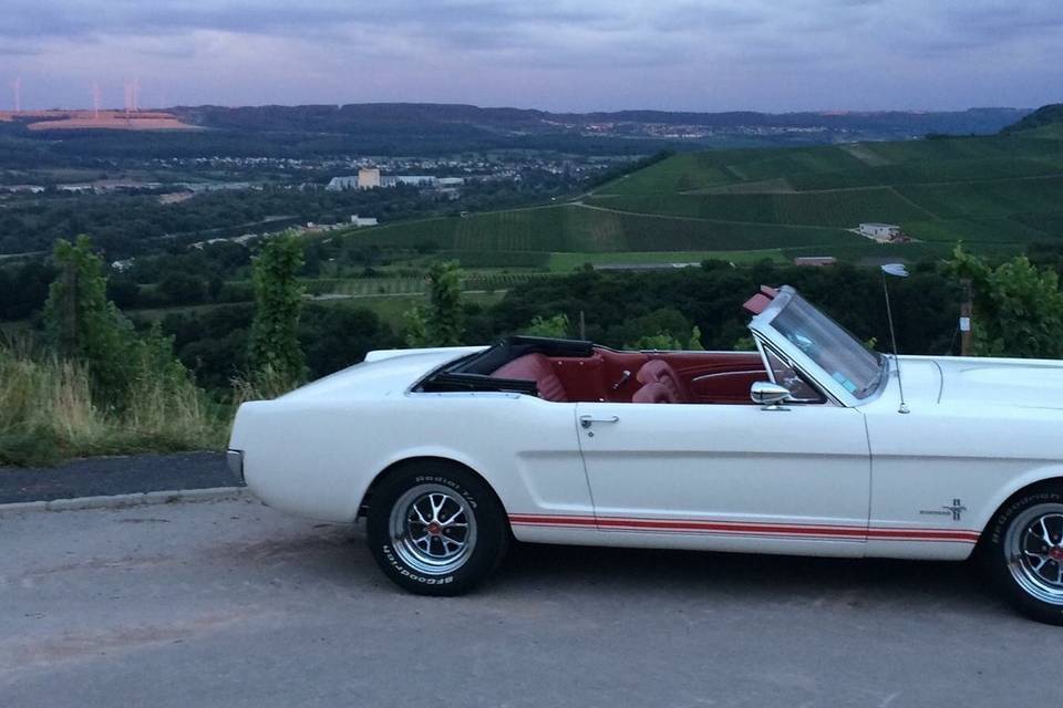 Mustang 65