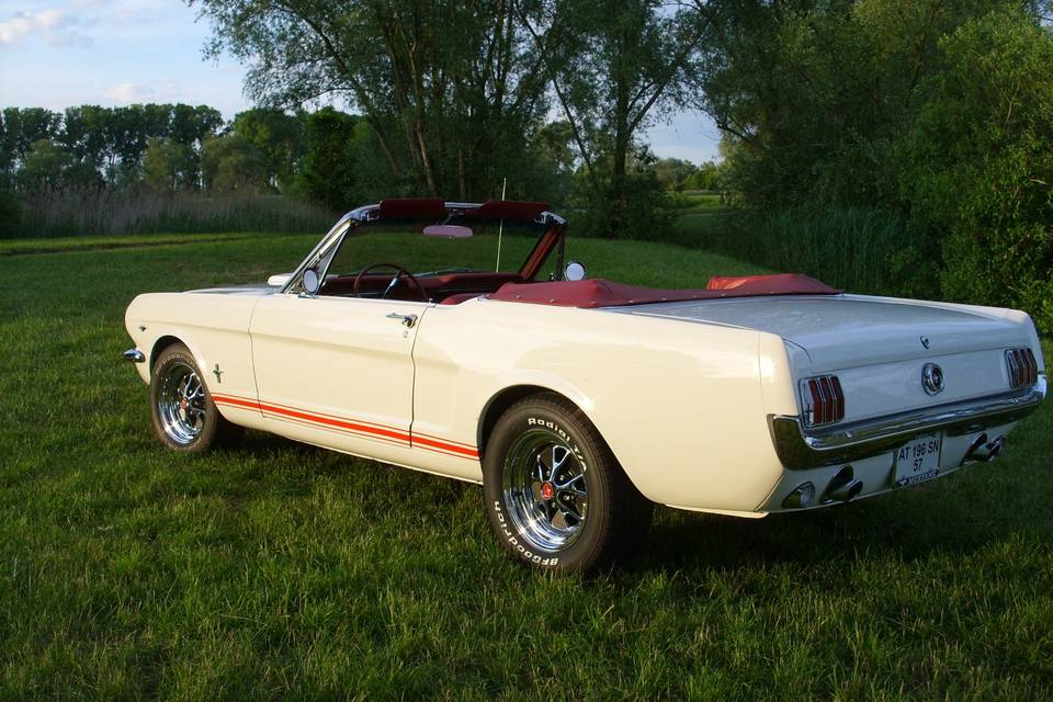 Mustang 65