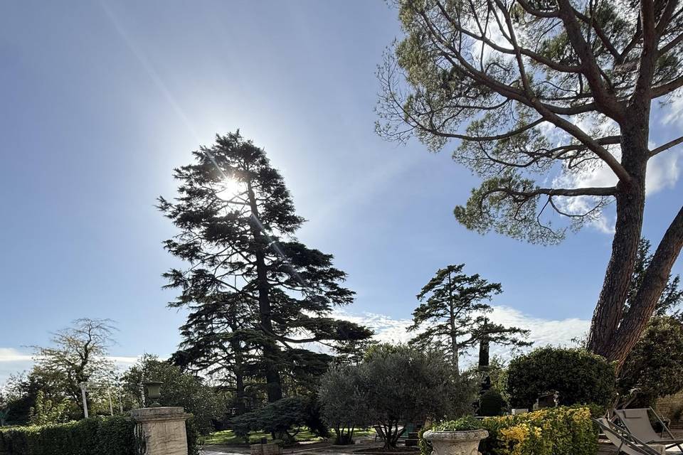 Jardin