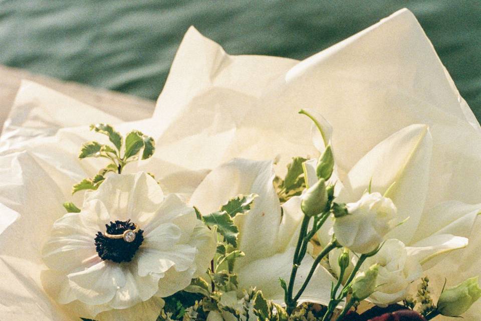 V&e on film