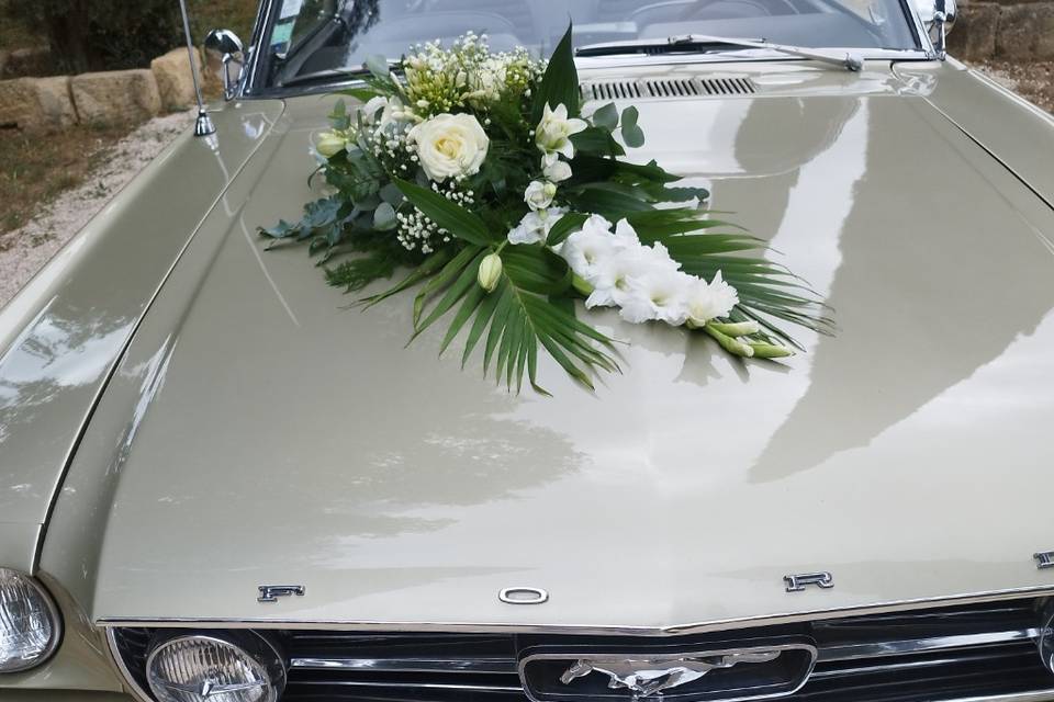 Déco de voiture