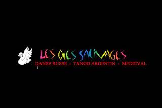 Cie Les Oies Sauvages