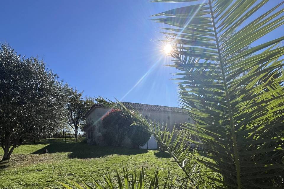 Jardin intérieur