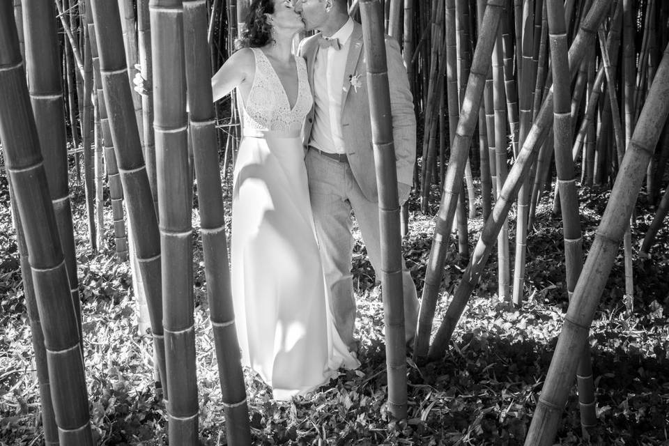 Photos dans les bambous