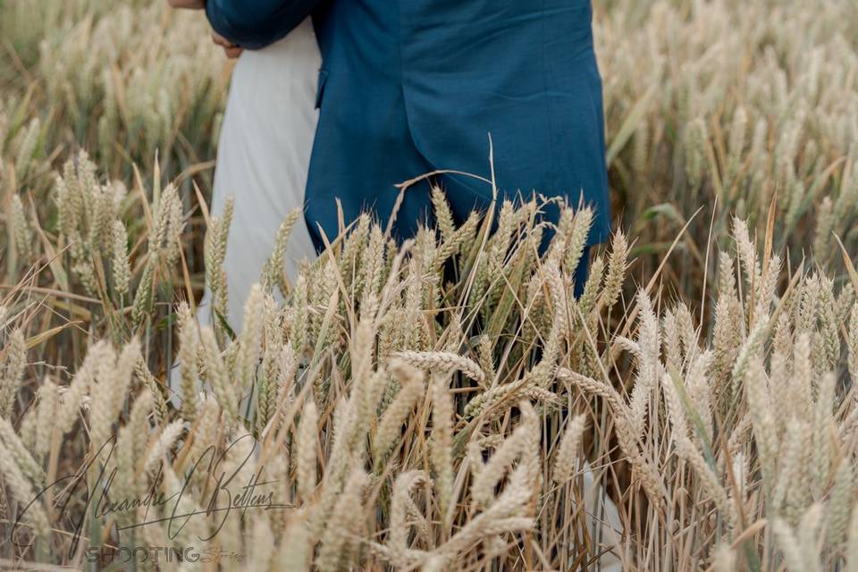 Shooting Stories Mariage L & D