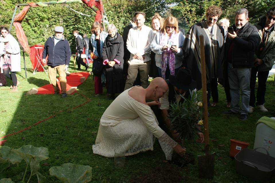 L'arbre des mariés