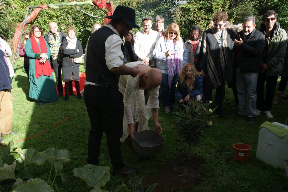 L'arbre des mariés