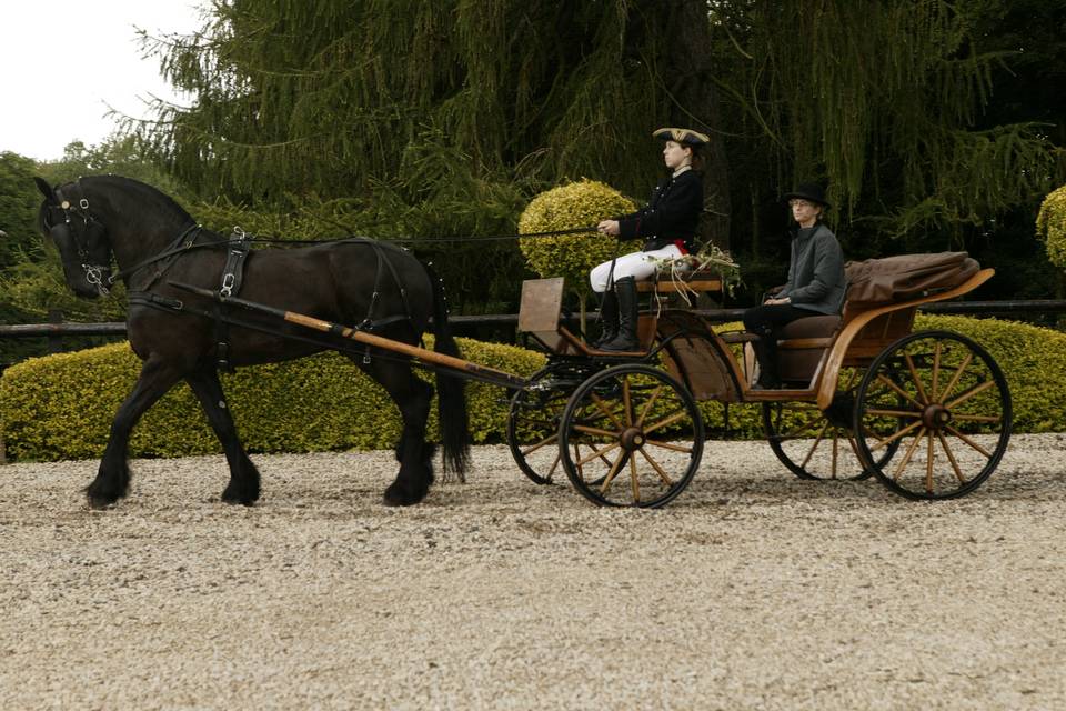 Calèche et frison noir