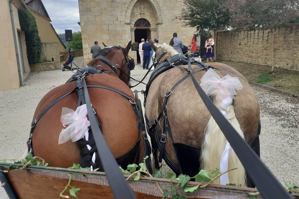 Arrivée à l'église