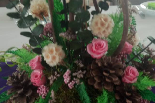 Fleurs stabilisées (éternelles)