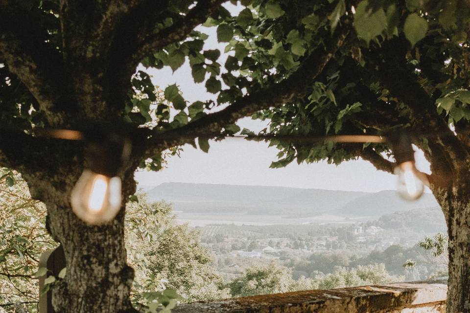 Dîner Sous Les Arbres