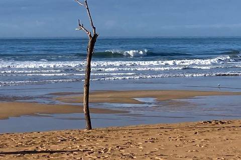 Plage de Bellangenêt