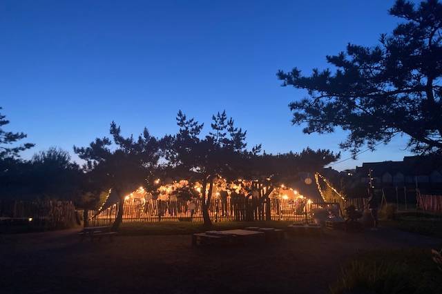 La nuit au jardin