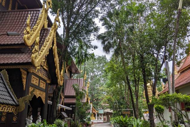 Temples & jungle Thaïlande