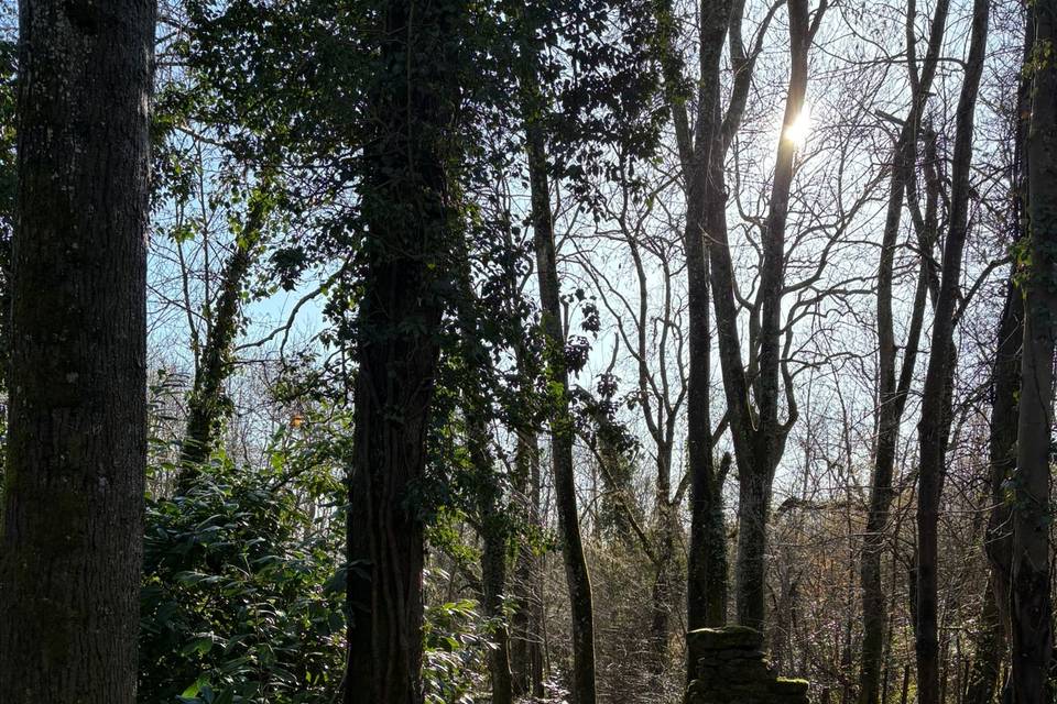 Nature