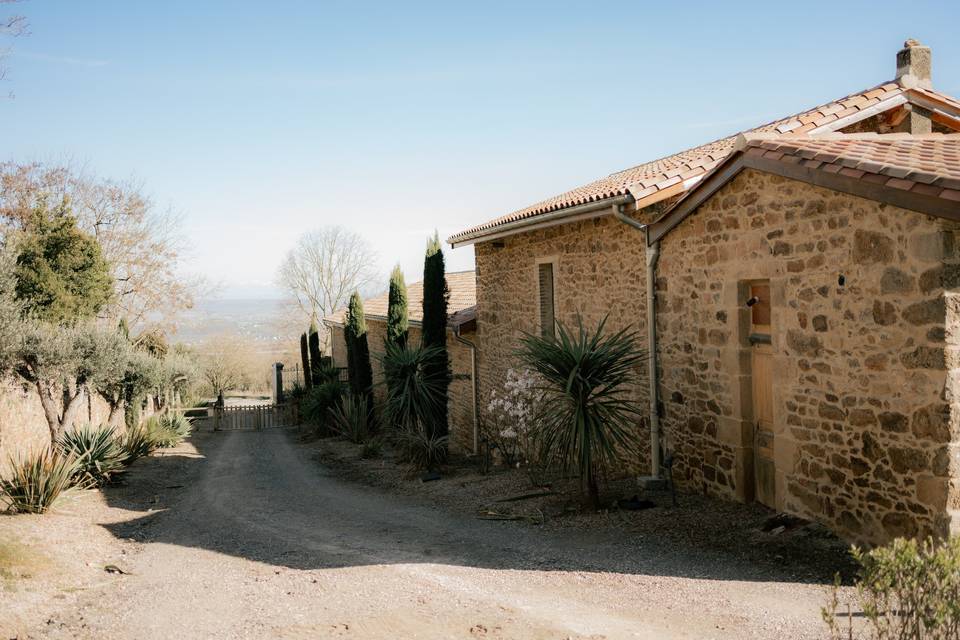 Allée Château