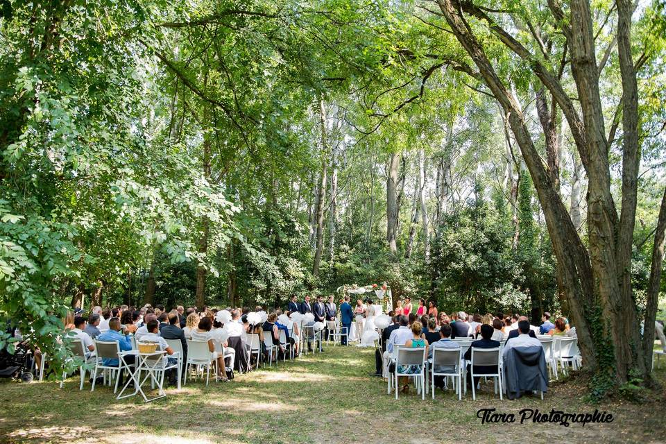 Cérémonie sous les arbres