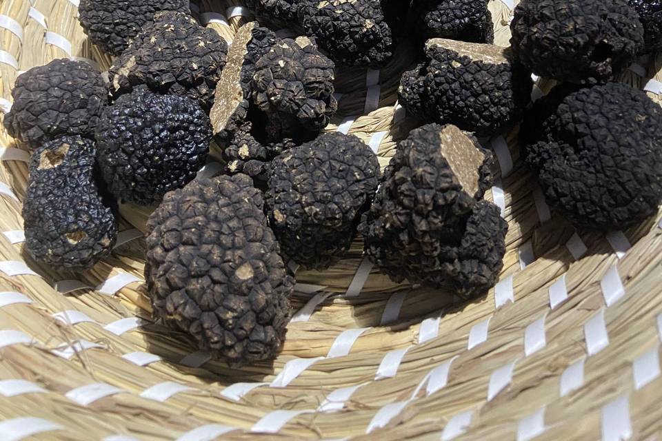 Truffes Noires de Meuse