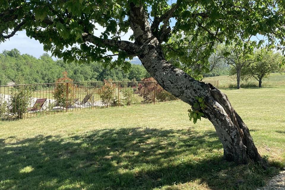 Parc