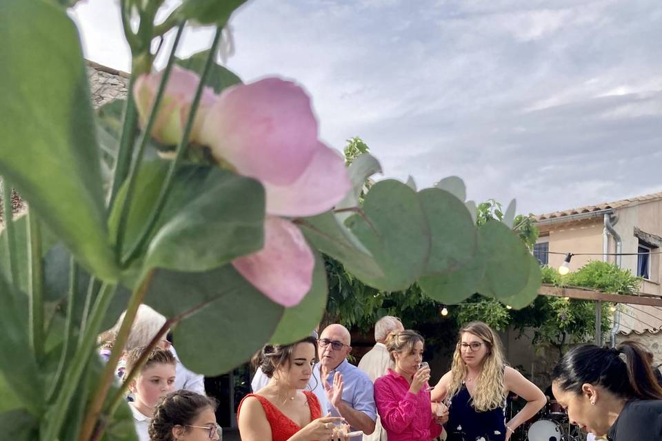 Cocktail