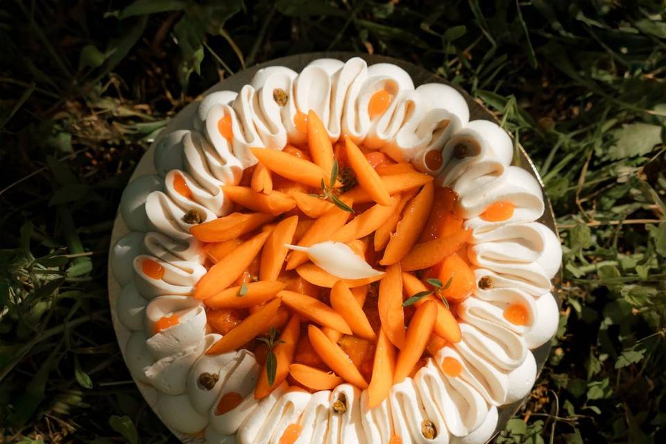Pavlova abricot