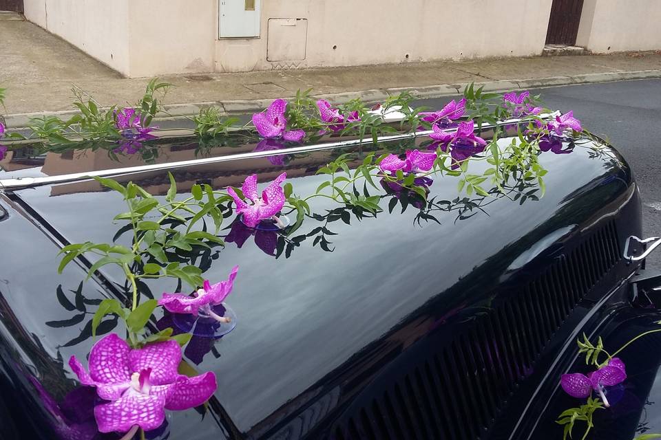 Décoration voiture orchidée