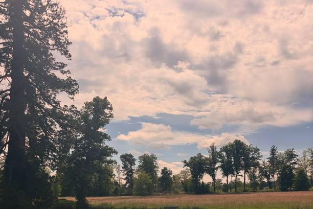 Domaine de Toury
