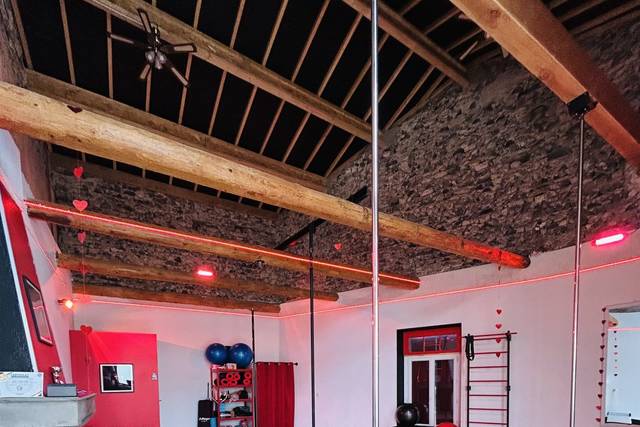 Salle de pole, EVJF - cours