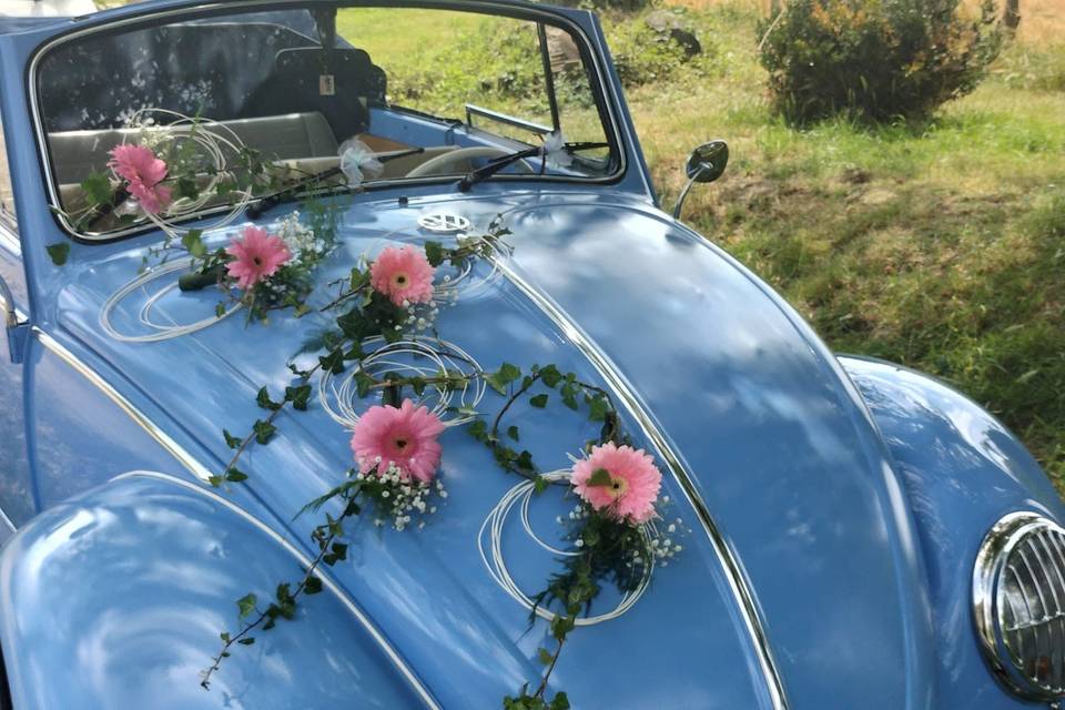 Décor de voiture