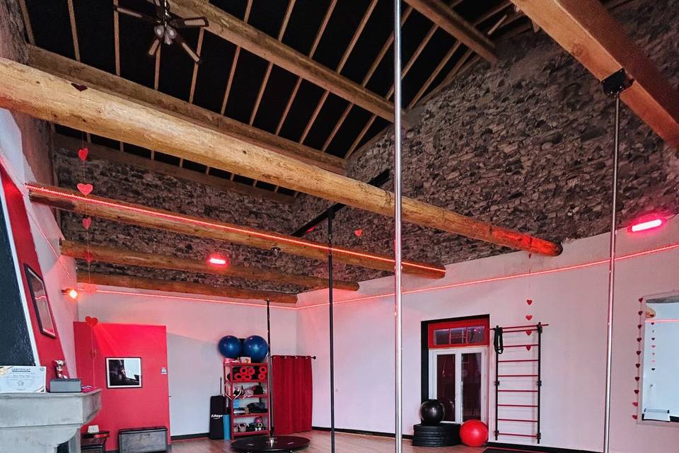 Salle de pole, EVJF - cours