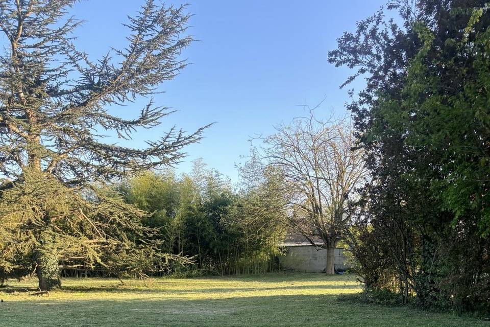 Parc arboré
