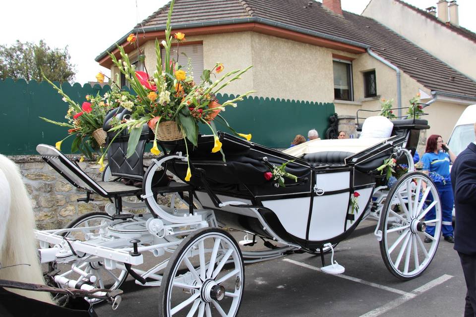 Cortège des invités