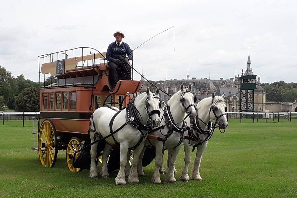 Cortège des invités