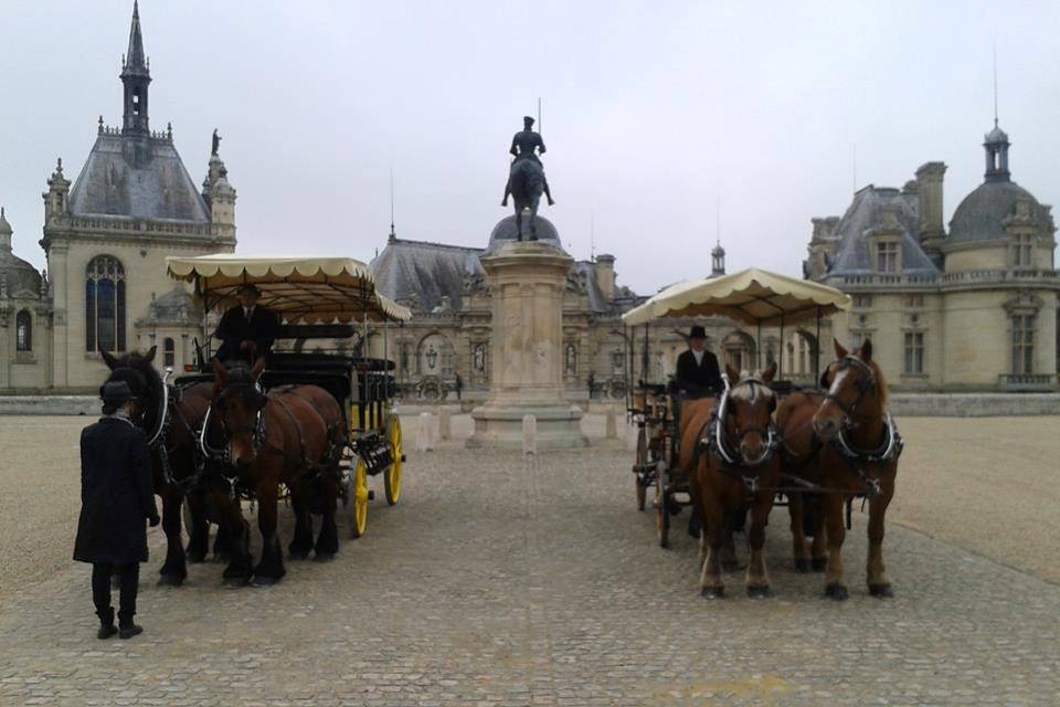 Cortège des invités