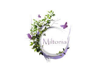 Miltonia