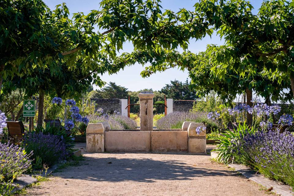 La fontaine